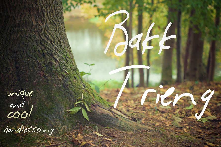 Bakk Trieng Font - Freeform Sans Serif for Creative Projects