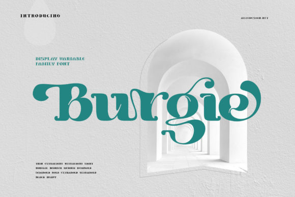Burgie Bold Display Font for Modern Creative Projects